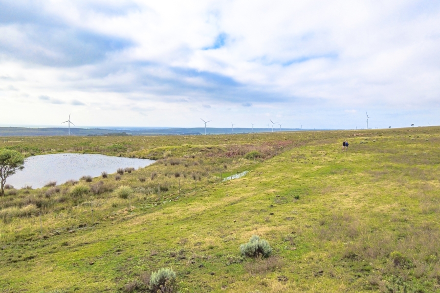 0 Bedroom Property for Sale in Humansdorp Rural Eastern Cape